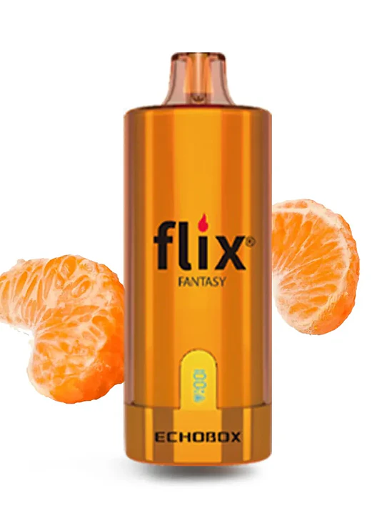 Flix Echobox 12.000 Puffs 7