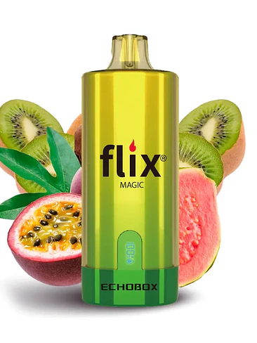Flix Echobox 12.000 Puffs 10