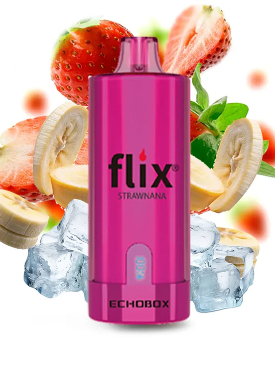 Flix Echobox 12.000 Puffs 13