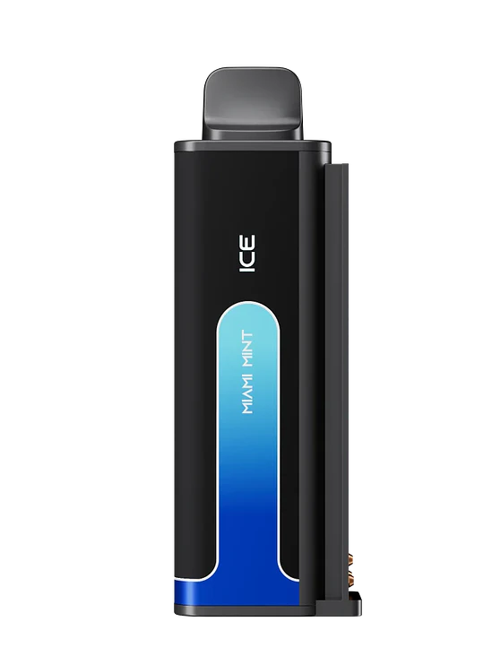 Life Pod Eco 3 Recarga 20.000 Puff 7