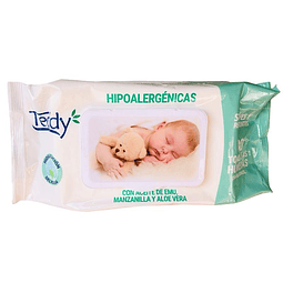 Toallitas Humedas / pack de 2 bolsas x 80 Unidades / Teddy