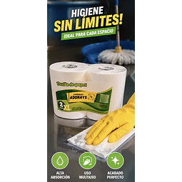 Toalla De Papel Nova XL 2 Rollos