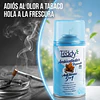 Ambientador Teddy Aroma Anti Tabaco 5 En 1 De 250ml