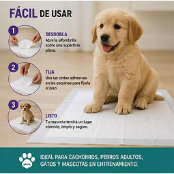 Sabanillas De Entrenamiento Mascota 60 X 60 Reutter 30u