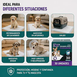 Sabanillas De Entrenamiento Mascota 60 X 60 Reutter 30u