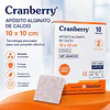 Apósito Alginato De Calcio 10x10 X 1 Unidad - Cranberry