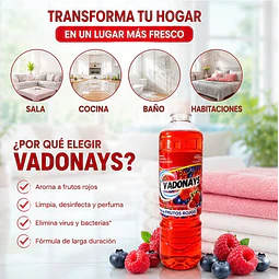 Limpia Pisos Aroma Frutros rojos Vadonays 900ml