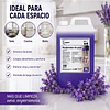 Limpia Pisos Aroma Lavanda Vadonays 5 Litros