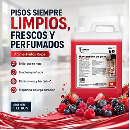 Limpia Pisos Aroma Frutos Rojos Vadonays 5 Litros