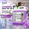 Limpia Pisos Aroma Primavera Vadonays 5 Litros