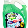 Detergente Liquido Premiun Shaddai 4.5 Litros Verde