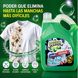 Detergente Liquido Premiun Shaddai 4.5 Litros Verde