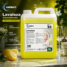 Lavalozas Concentrado Premiun Vadonays 5 Litros