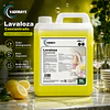 Lavalozas Concentrado Premiun Vadonays 5 Litros
