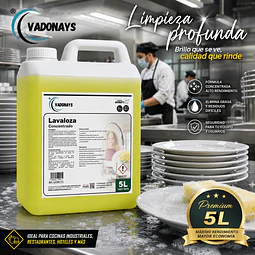Lavalozas Concentrado Premiun Vadonays 5 Litros