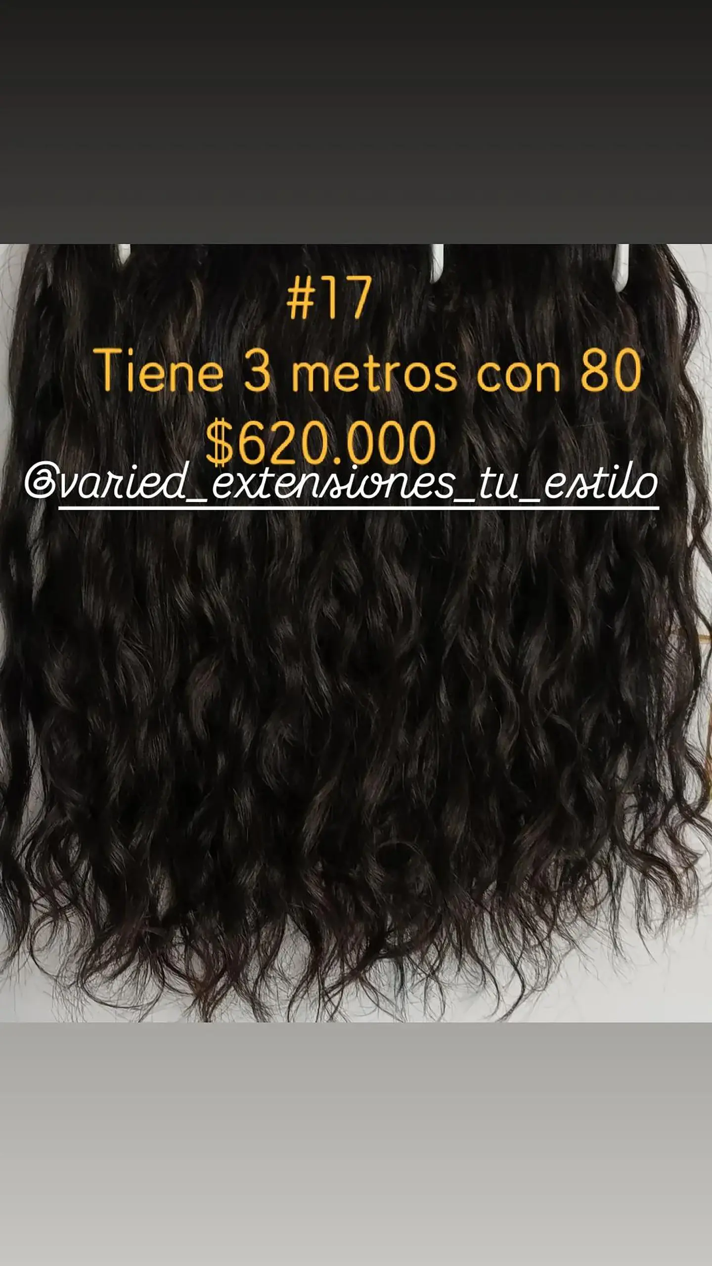 Extensión #17 1