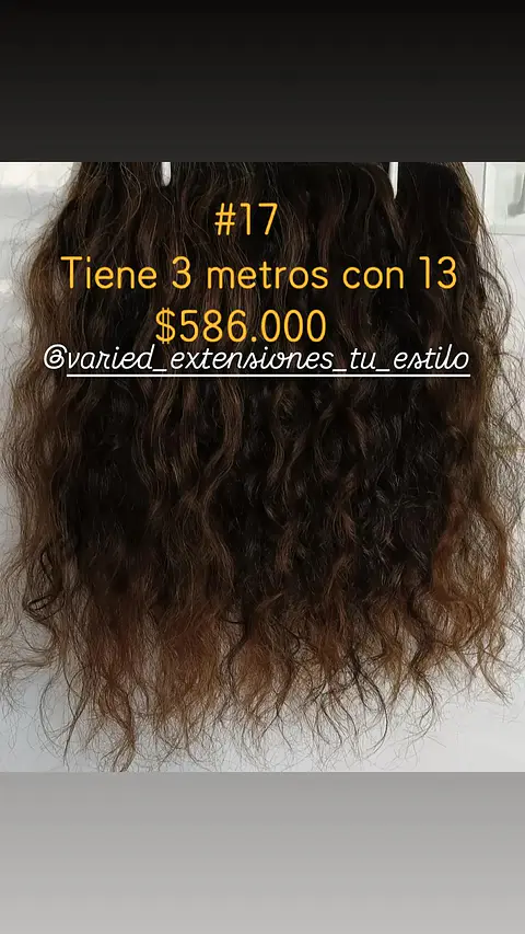 Extensión #17