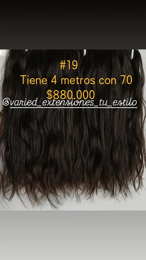 Extensión # 19