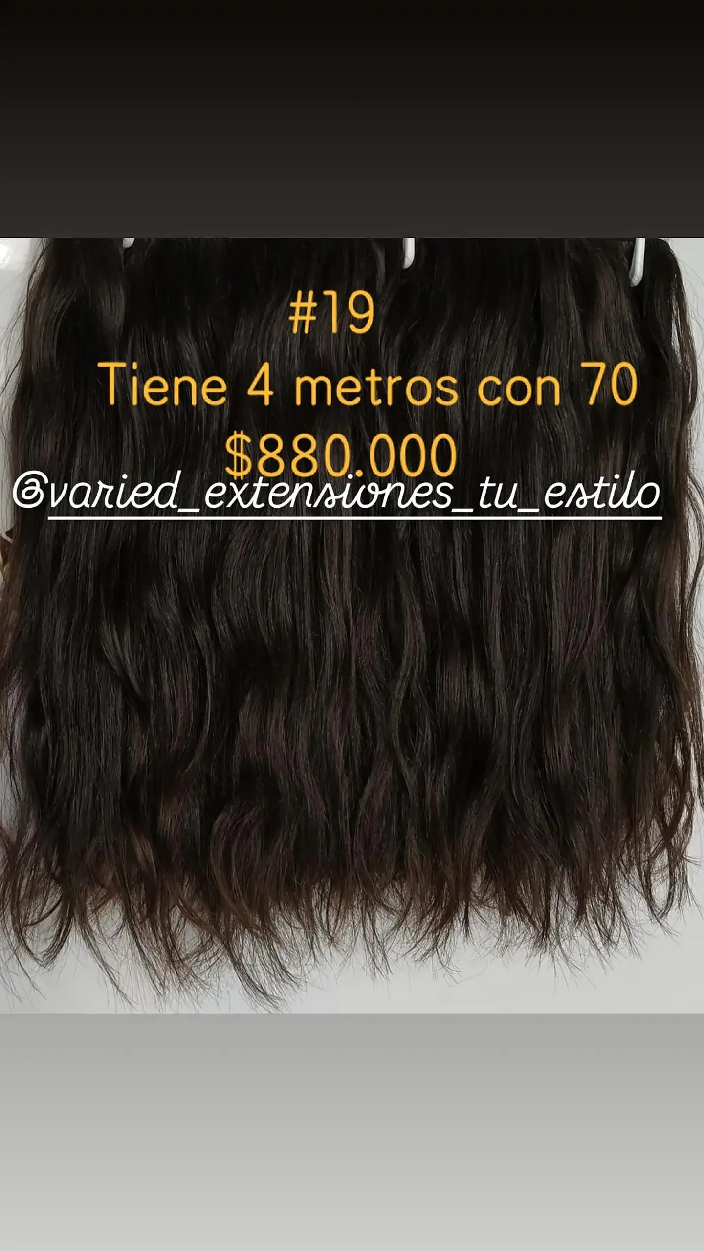Extensión # 19 1