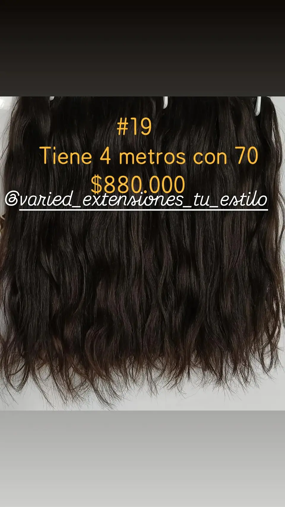 Extensión # 19 1