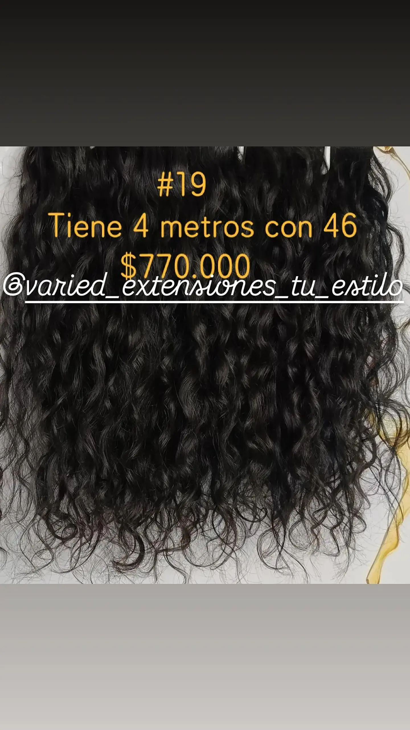 Extensión #19 1