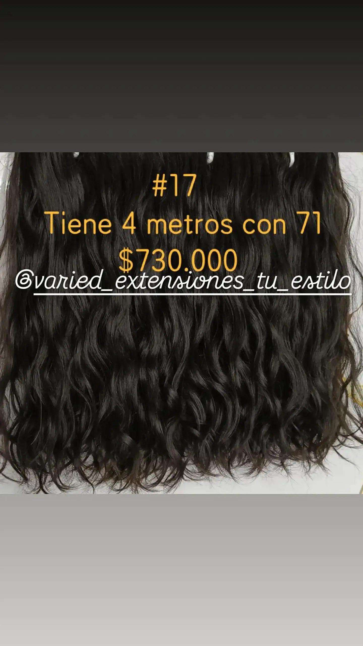 Extensión #17 1