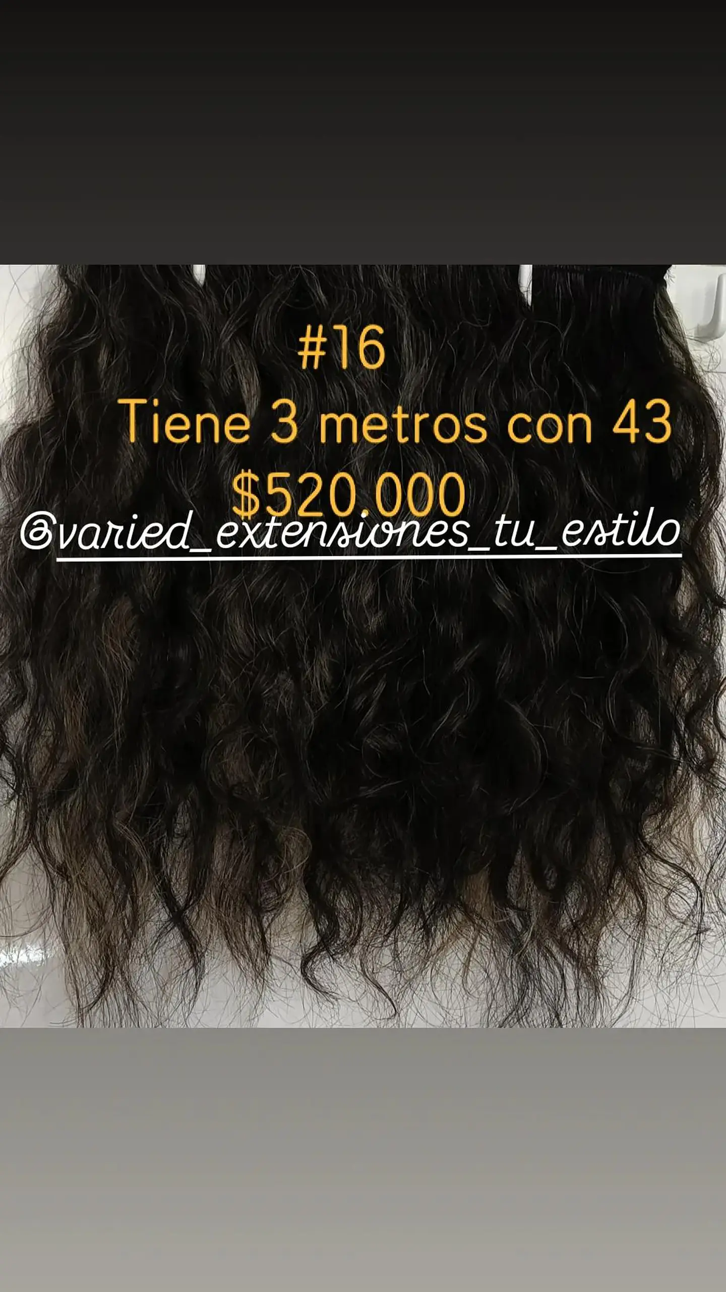 Extensión #16 1