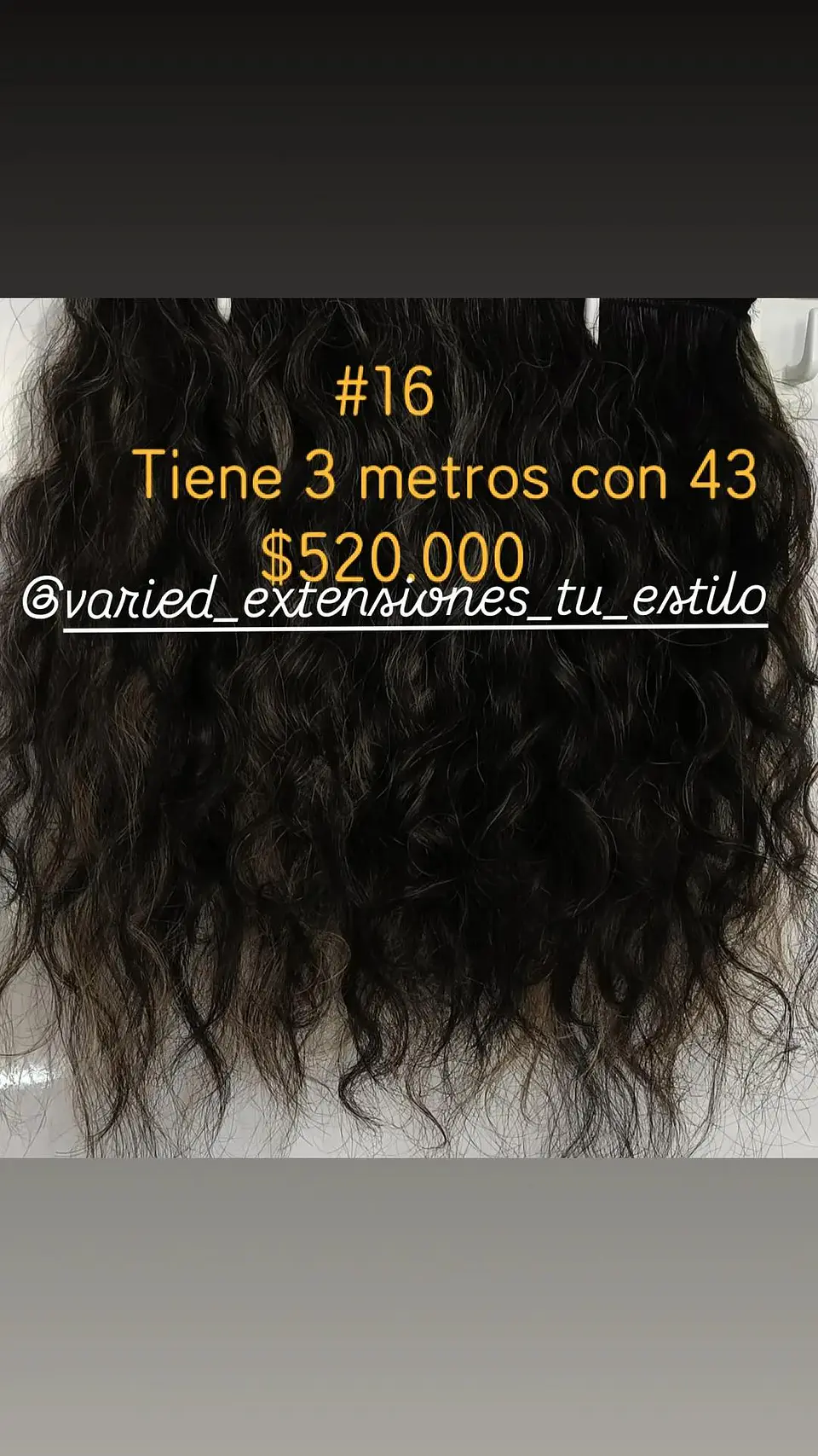 Extensión #16 1