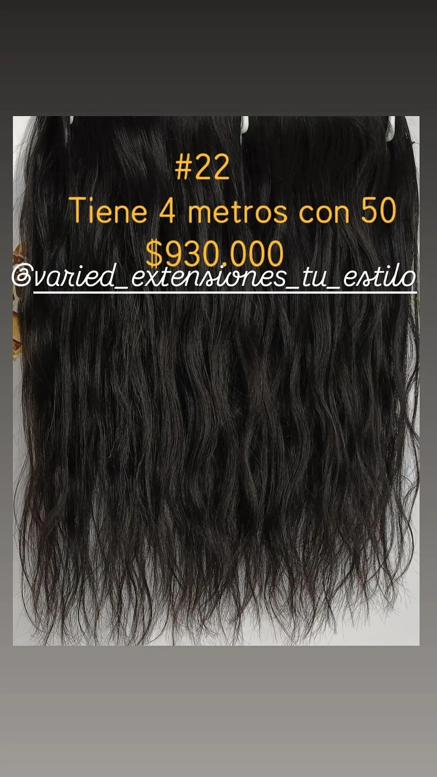 Extensión #22 1