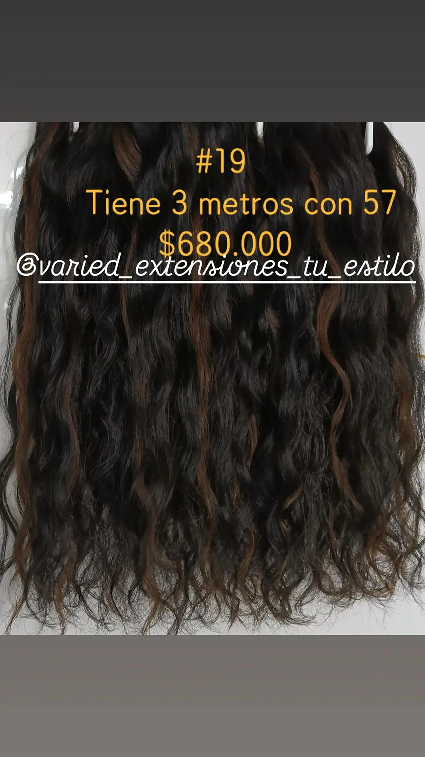 Extensión #19 1