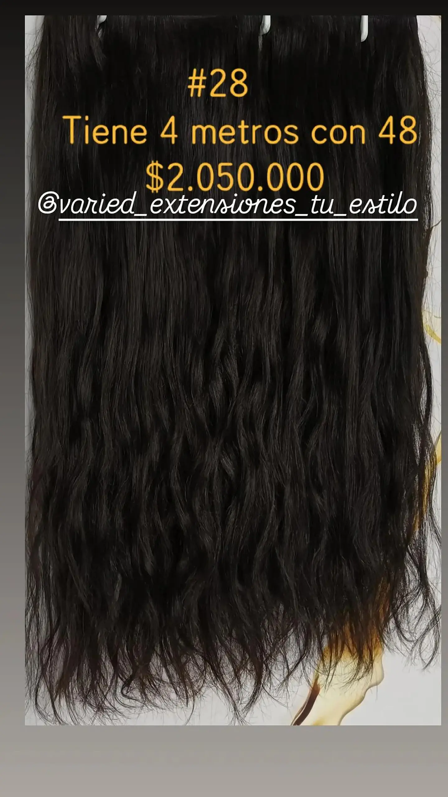 Extensión #28 1