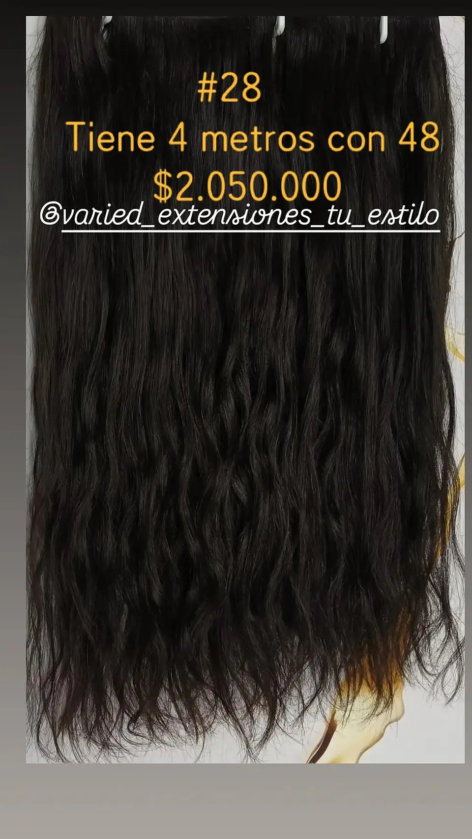 Extensión #28 1