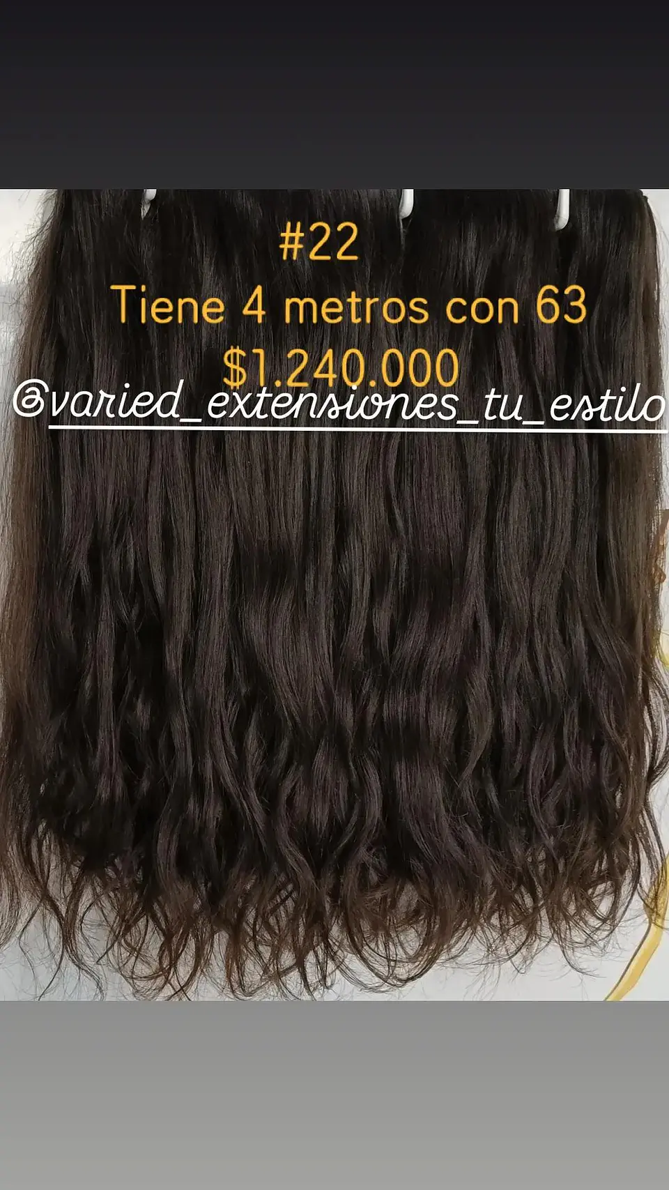 Extensión #22 1