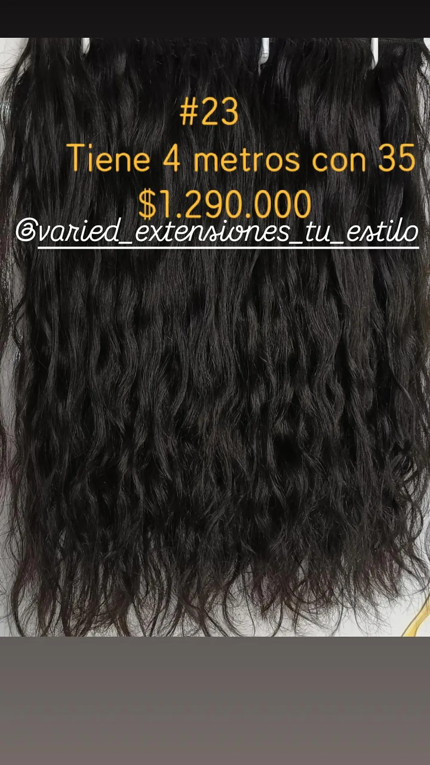 Extensión #23 1