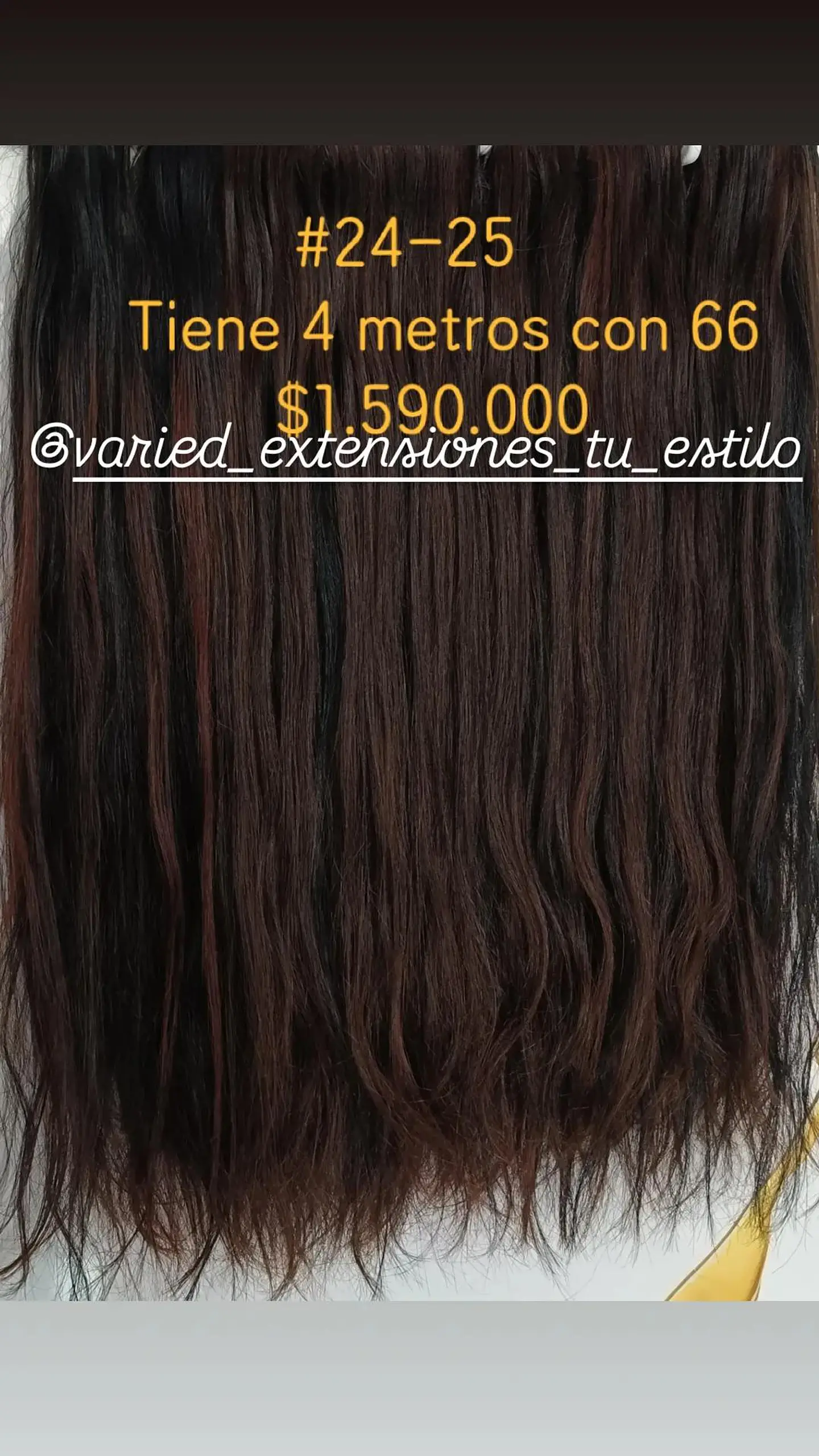 Extensión #24-25 1