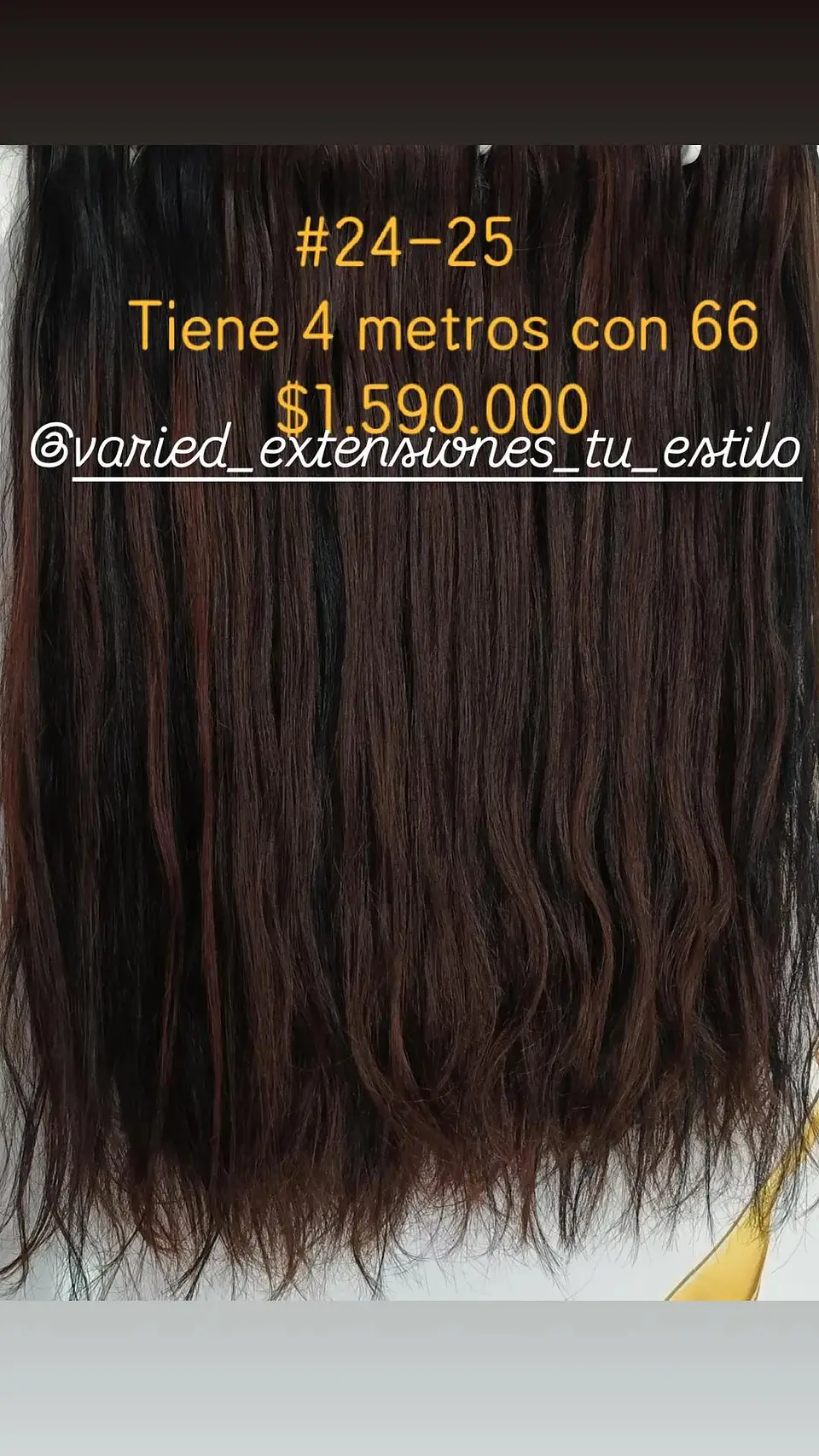 Extensión #24-25 1