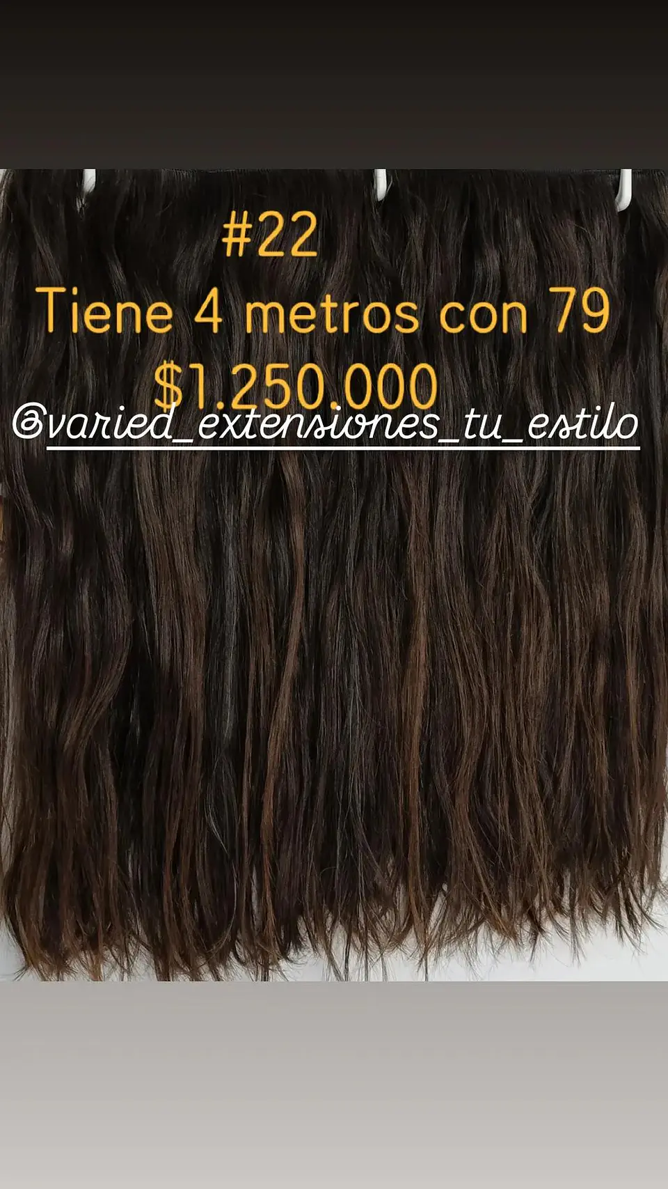 Extensión #22 1