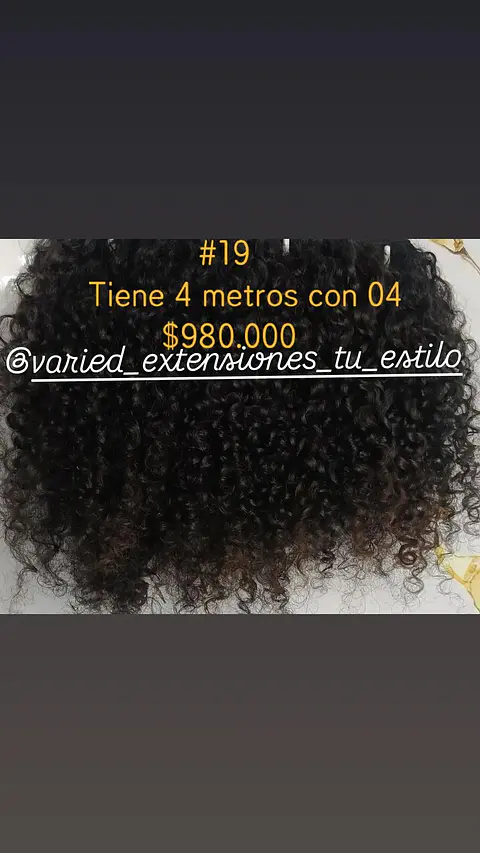 Extensión #19