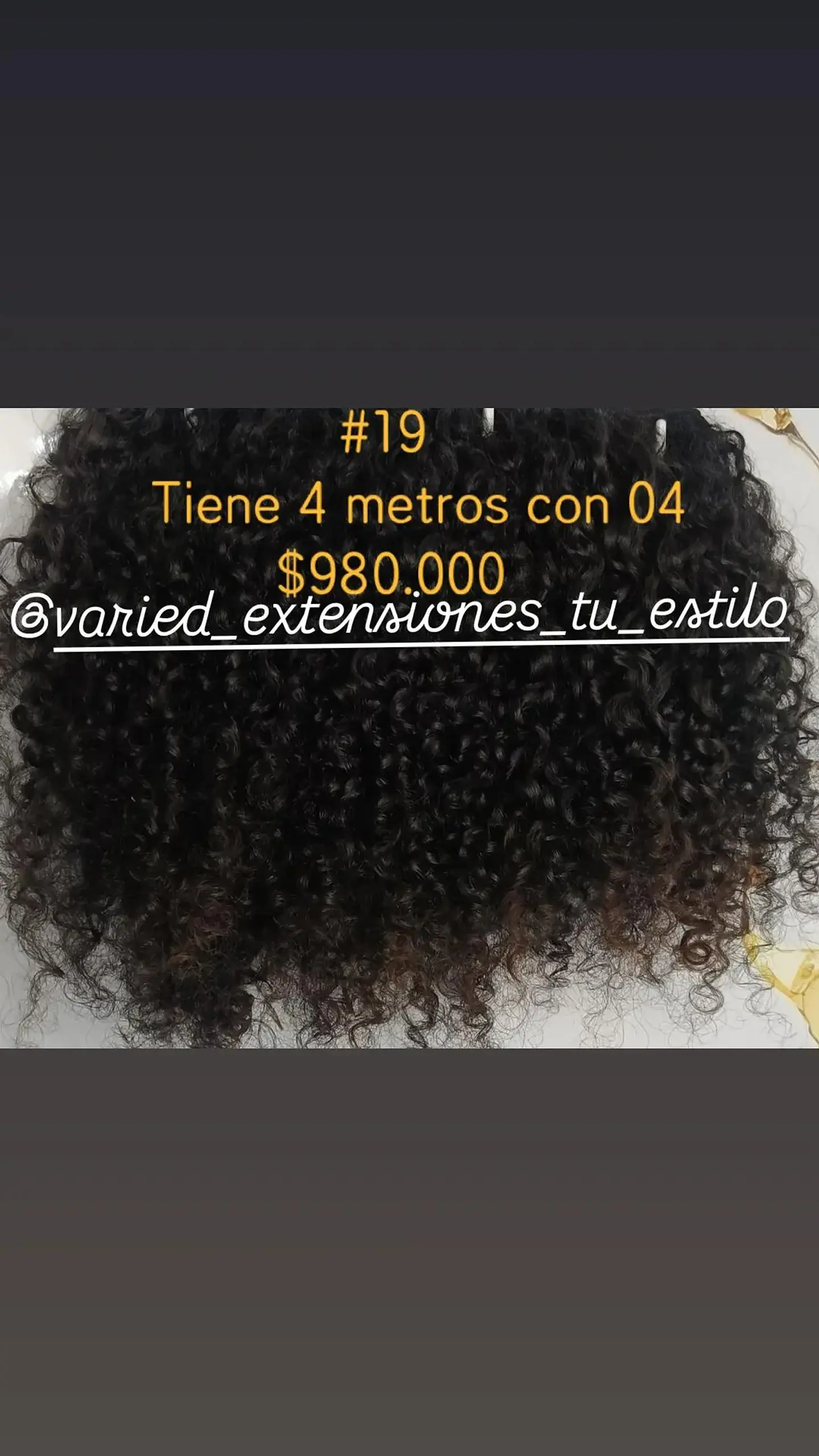Extensión #19 1