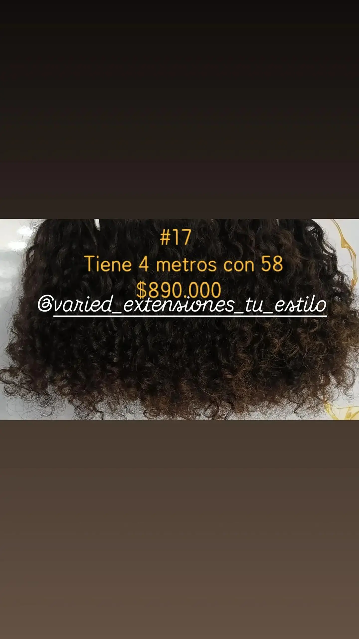 Extensión #17 1