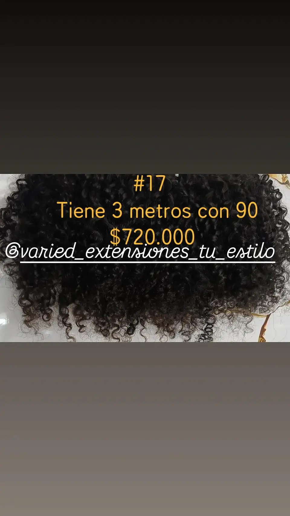Extensión #17 1