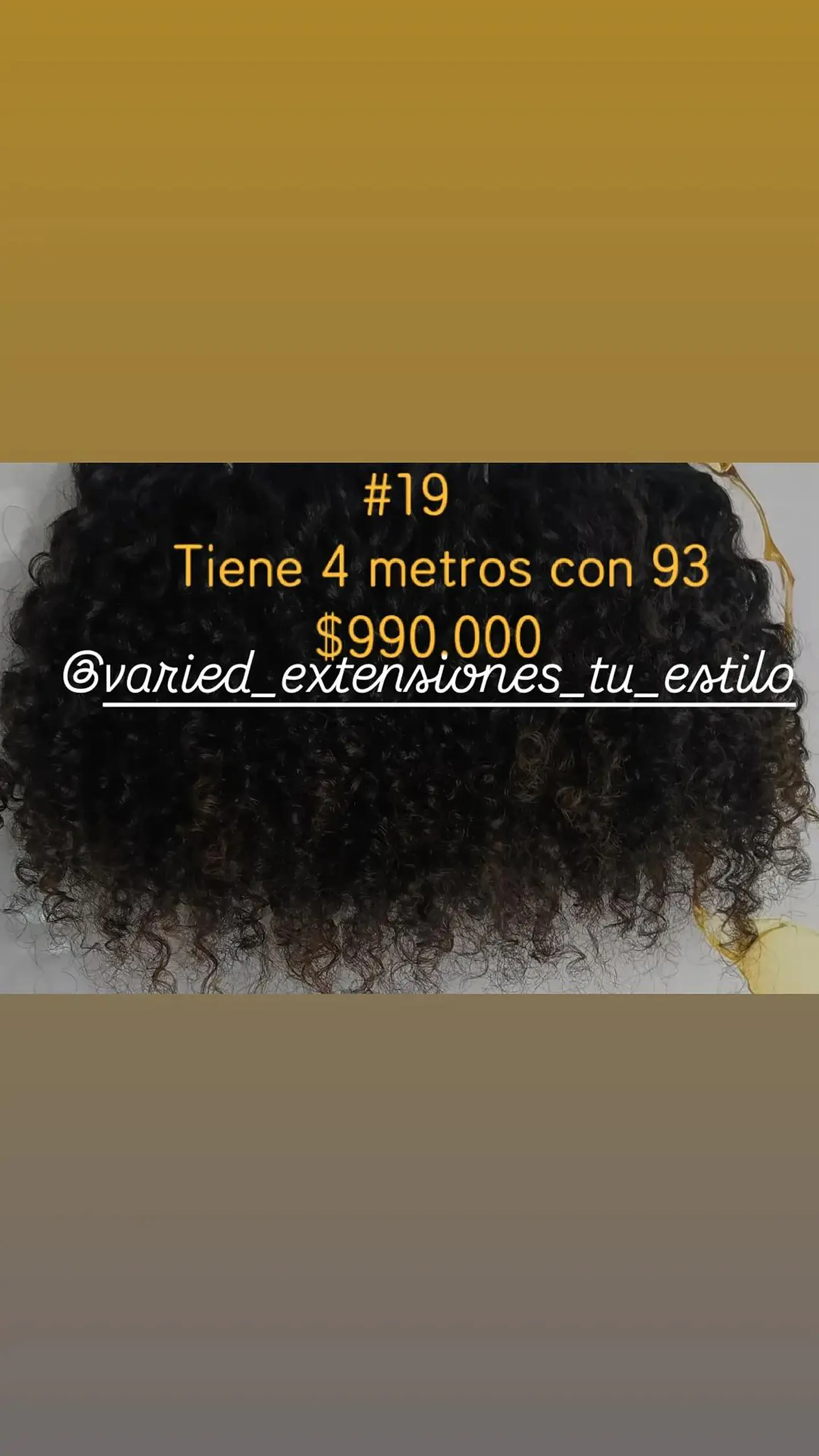 Extensión #19 1