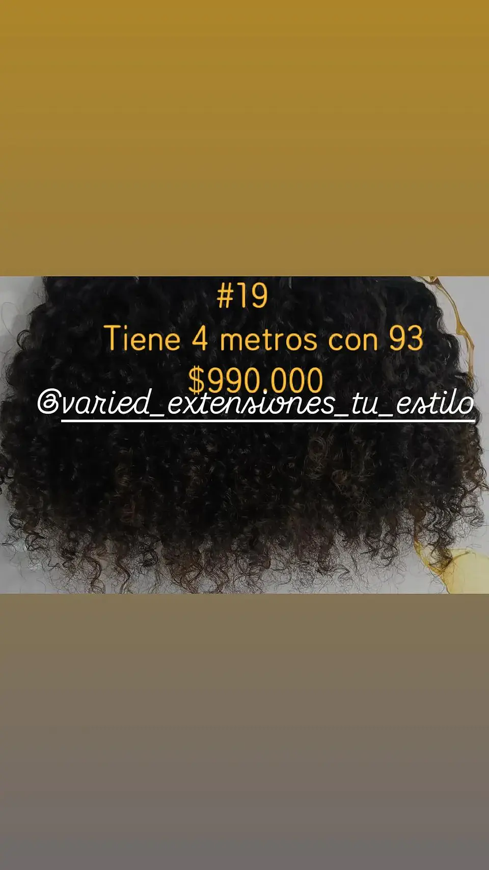 Extensión #19 1