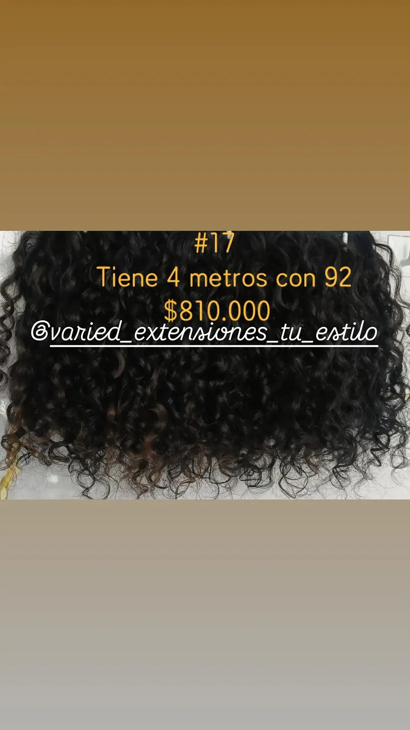 Extensión #17 1