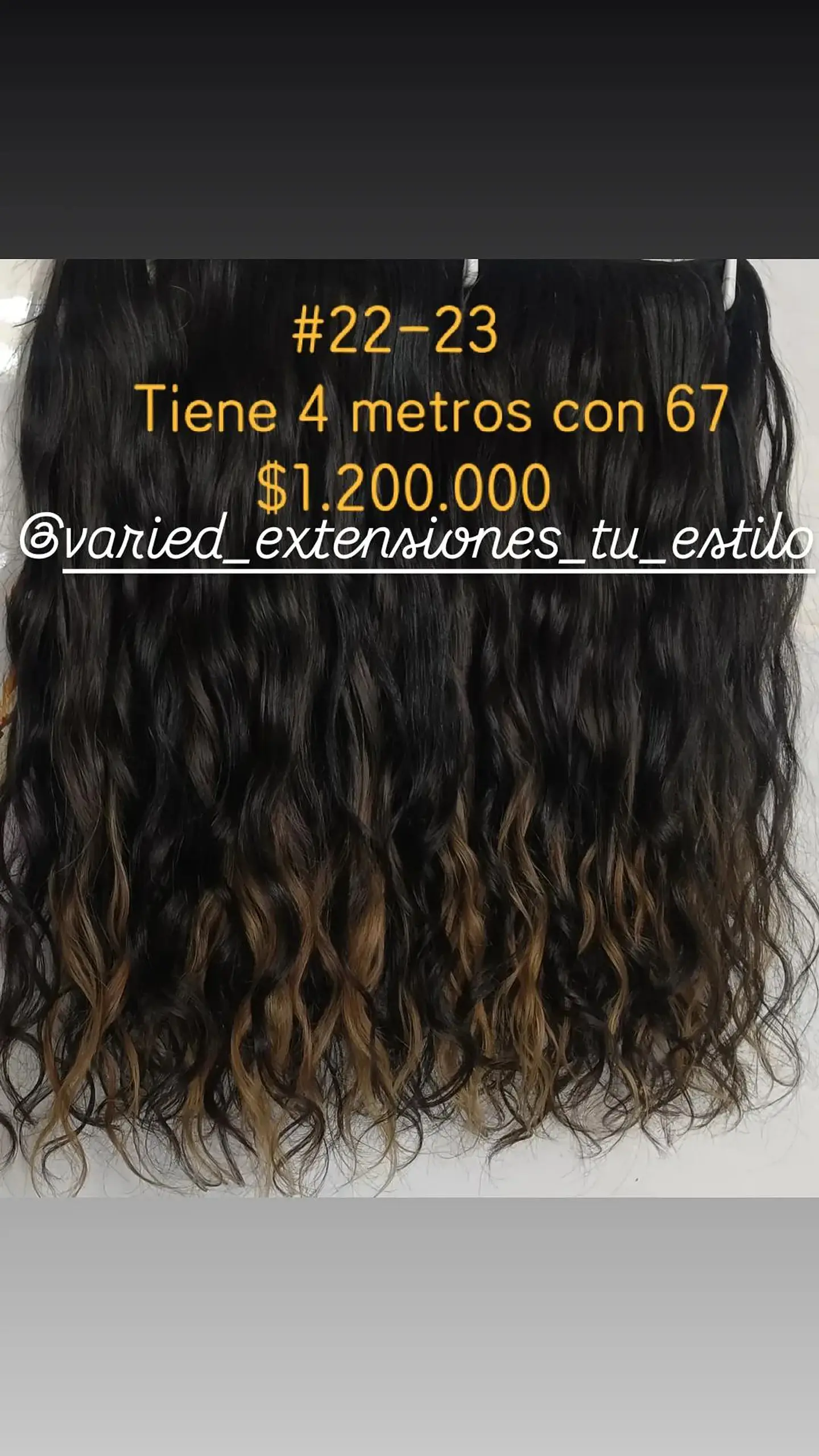 Extensión #22-23 1