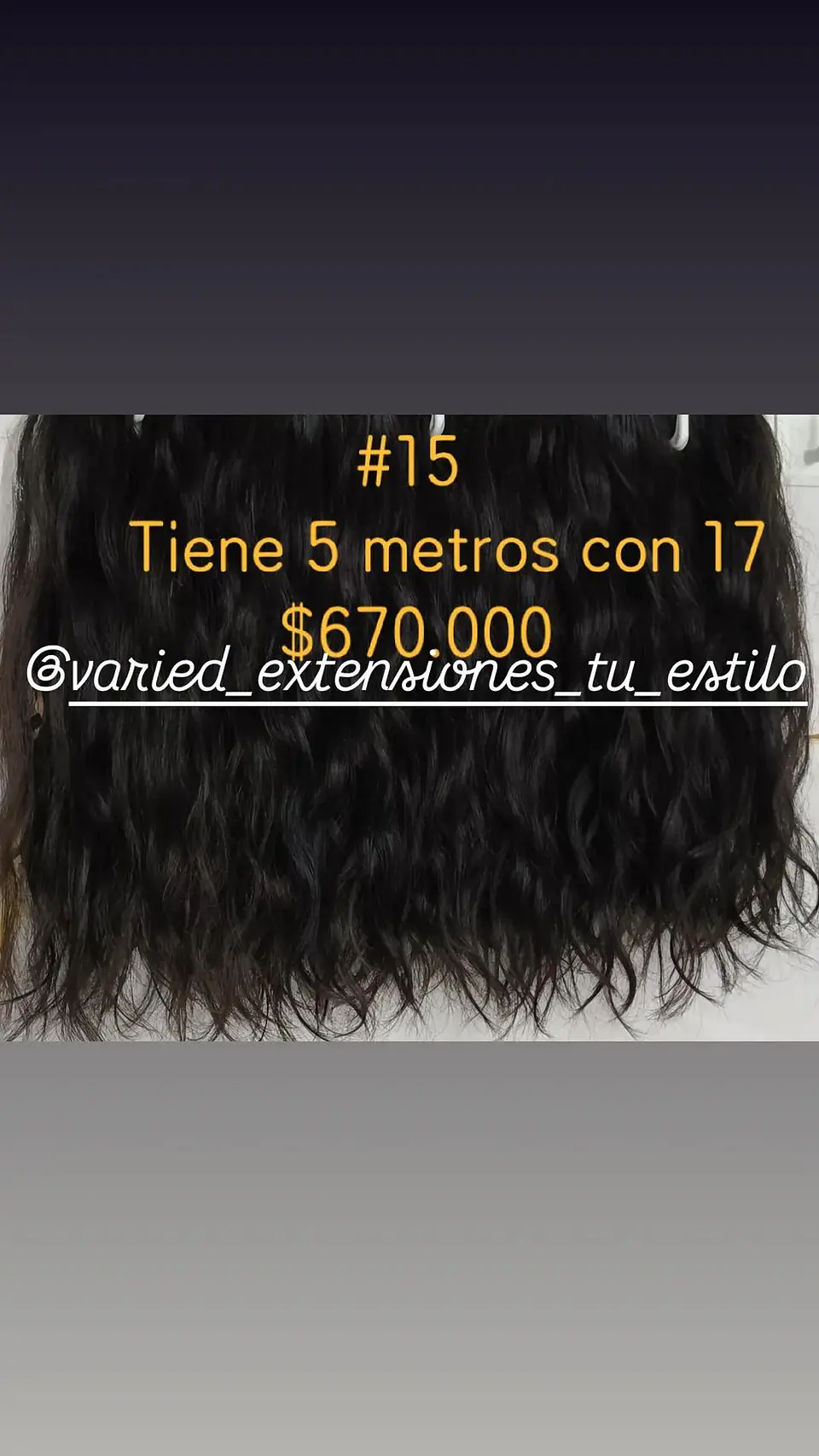 Extensión #15 1