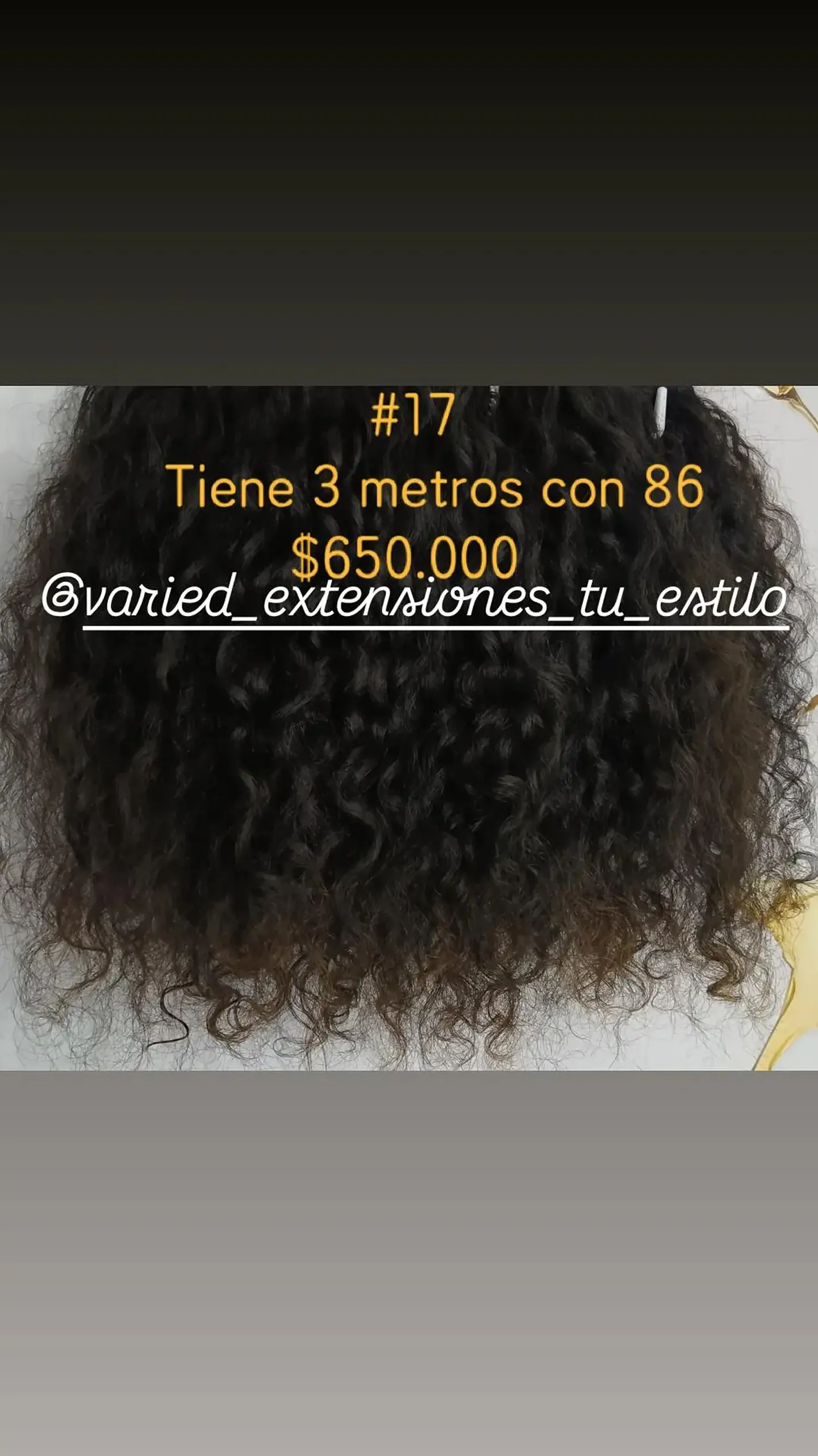 Extensión #17 1