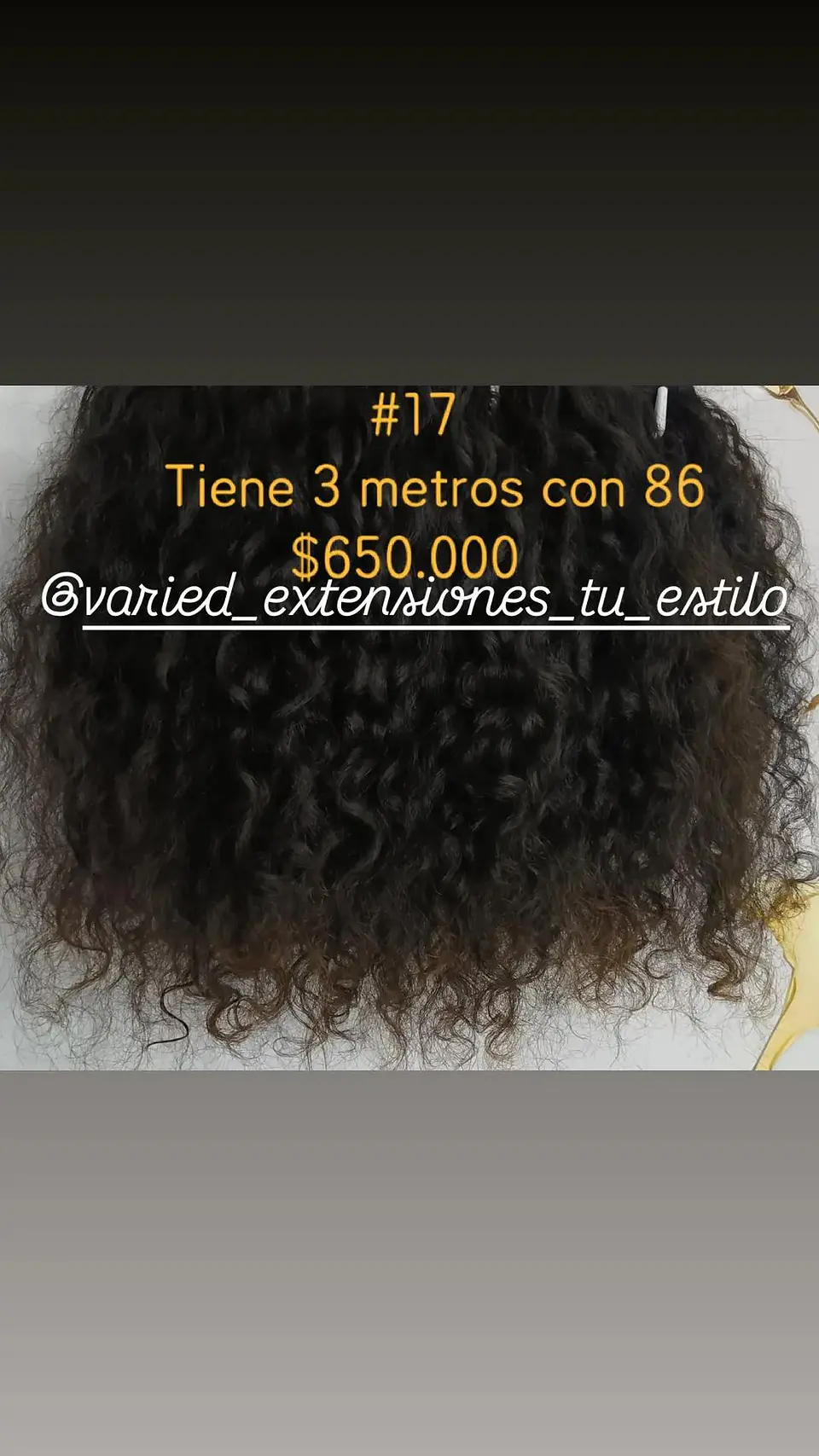 Extensión #17 1