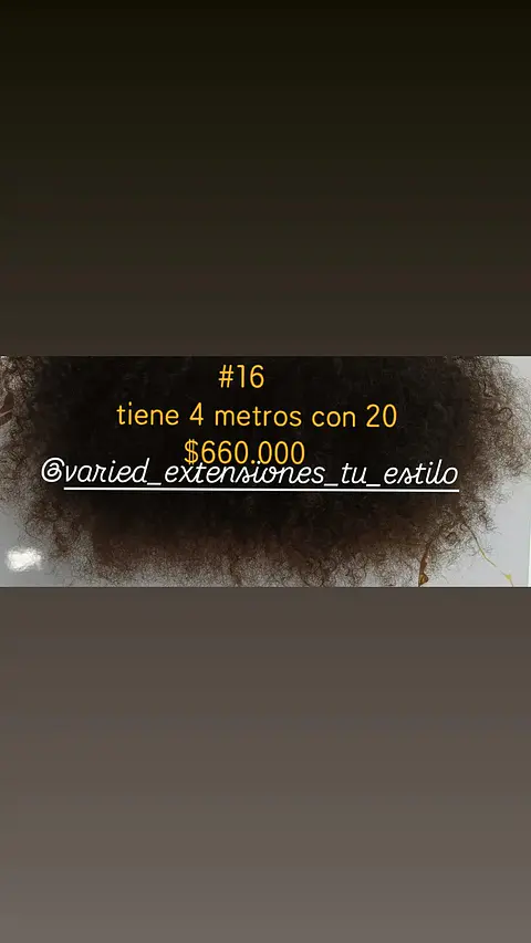 Extensión #16