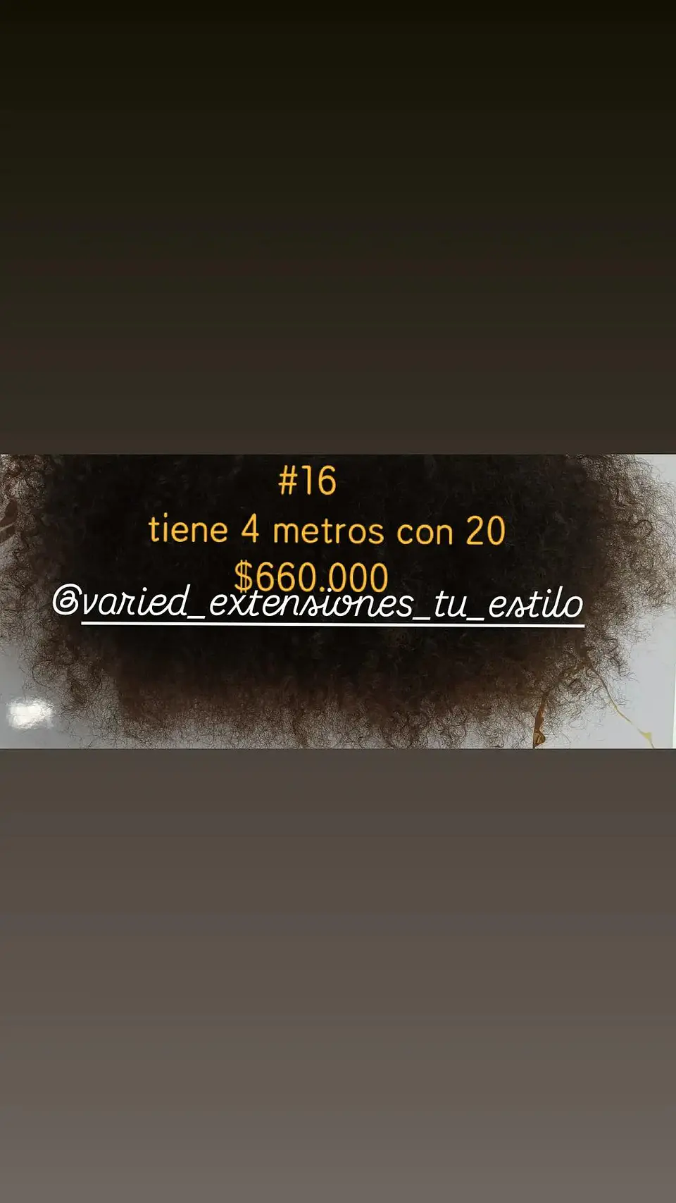 Extensión #16 1